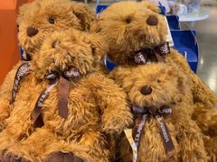 -成都泰迪熊博物馆