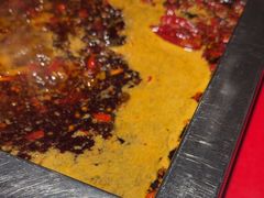 -二荆条·蜀鲜汇城市森林火锅