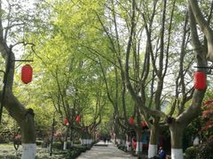-杭州黄龙洞