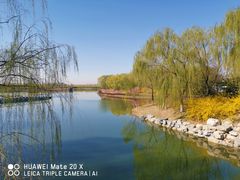 -大兴滨河森林公园