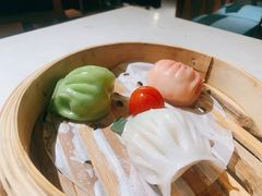 -点都德·毕德寮