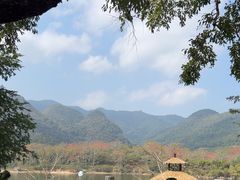-海南霸王岭国家森林公园