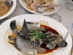 清蒸红宝石斑-岭南海晏楼(东晓南店)