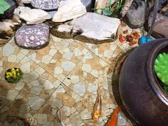 -秋香家韩式炭火烤肉(磐石路店)
