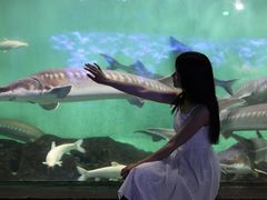 -太平洋海底世界