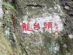 -十八棵（老龙井）御茶园(老龙井店)