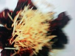 -苏浙汇(朝外店)