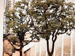 -大馆(前中区警署建築群)