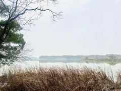 -东湖落雁景区