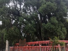 -四门塔风景区