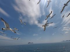 -海驴岛(荣成市)
