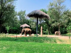 -北京野生动物园