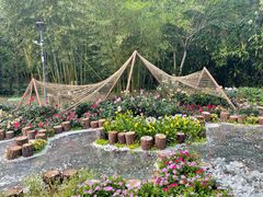 -深圳仙湖植物园