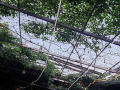 -伊隆斋(什刹海店)