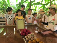 -大象粑粑造纸公园