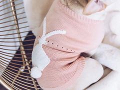 -PETKIT 小佩宠物·低压洗护·美容·寄养(安远店)