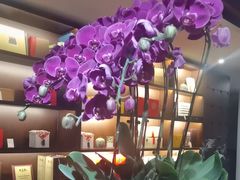 -荷风细雨·中国茶宴(碧云店)