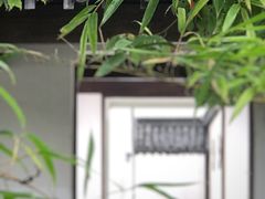 -帐篷客·溪龙茶谷度假酒店