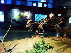 -自贡恐龙博物馆