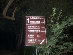 -紫金山山顶公园