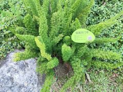 -云溪植物园