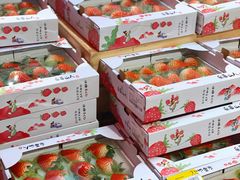 -盒马鲜生(大行宫店)