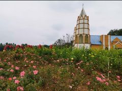 -松山湖梦幻百花洲
