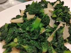 塔菜冬笋-蝶园·装修中(BFC外滩金融中心店)