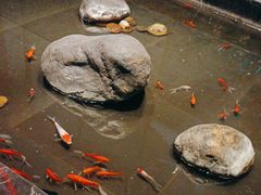 -青螺餐厅·家宴(松雅湖店)