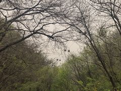 -王顺山国家森林公园
