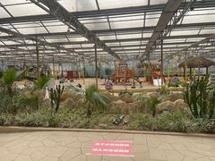 -南宫五洲植物乐园