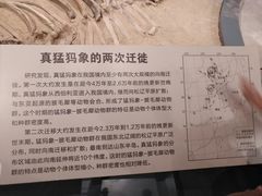 -大庆市博物馆