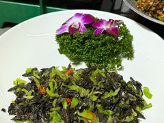 -云海肴·汽锅鸡·云南菜(南强街店)