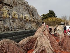 -北京西山国家森林公园