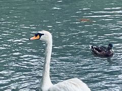 -北京动物园-畅观楼