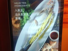 -西湖春天(中州店)