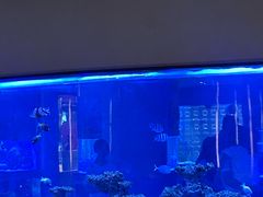 -上和臻品中国菜(花园街店)