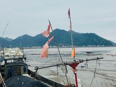-北岐滩涂