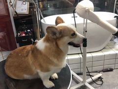 -宠物世家(仲盛世界商城店)