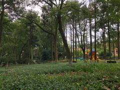 -拾溪餐厅·包厢(杭州千禧度假酒店)