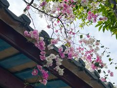 -深圳国际园林花卉博览园