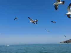 -海驴岛(荣成市)