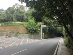 -峨眉山报国寺