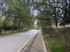 -南京市江宁方山