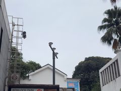 -九龙公园
