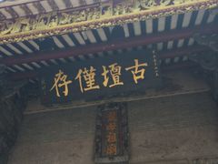 景点-悦城龙母祖庙