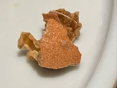 -蔡家酒楼(一德街店)