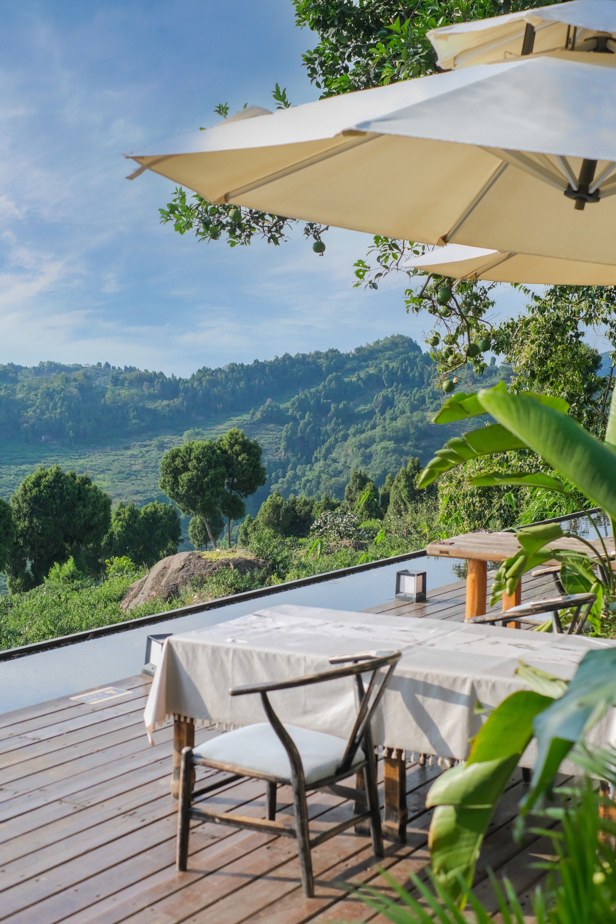 龙泉山绝美日落民宿92太chill啦