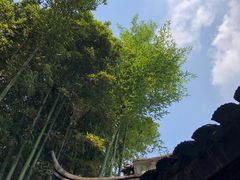 -上海醉白池公园