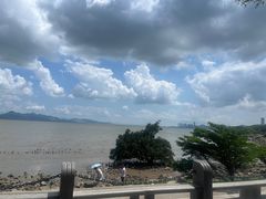 -深圳湾公园(南山区)